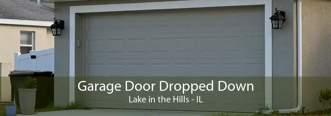 Garage Door Dropped Down Lake in the Hills - IL