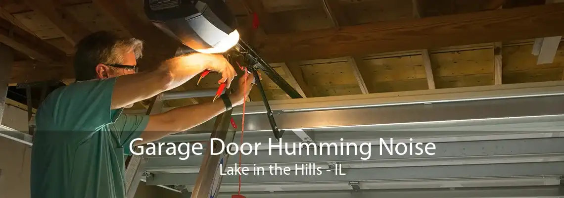 Garage Door Humming Noise Lake in the Hills - IL