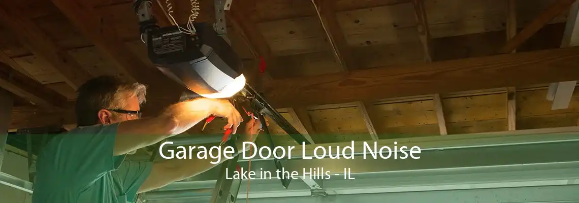 Garage Door Loud Noise Lake in the Hills - IL