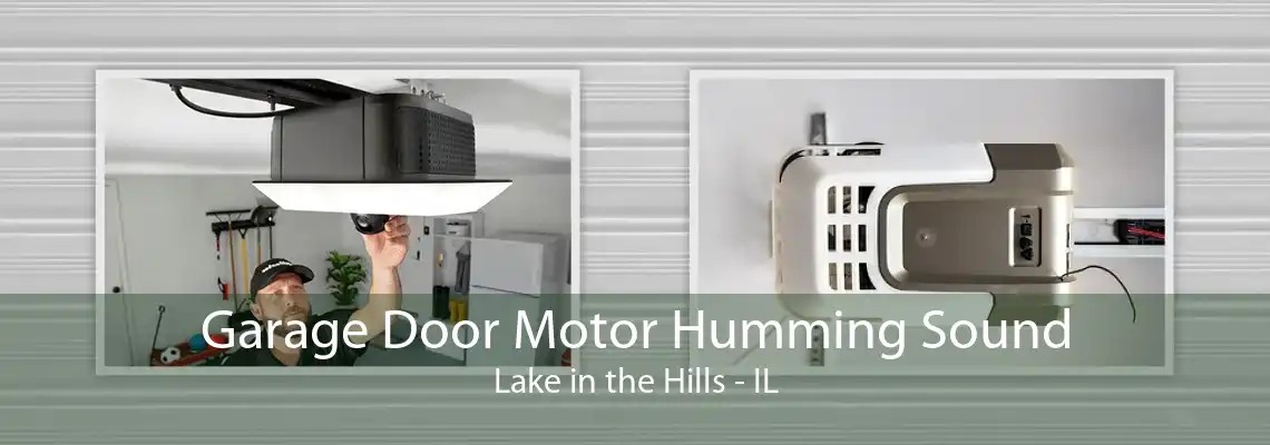 Garage Door Motor Humming Sound Lake in the Hills - IL