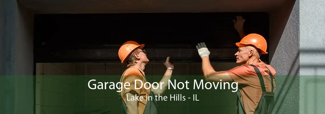 Garage Door Not Moving Lake in the Hills - IL