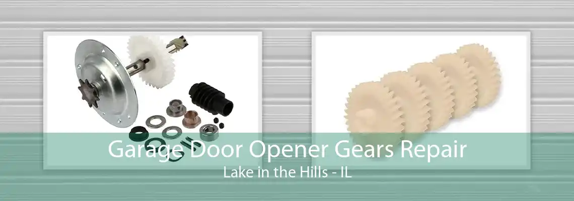 Garage Door Opener Gears Repair Lake in the Hills - IL