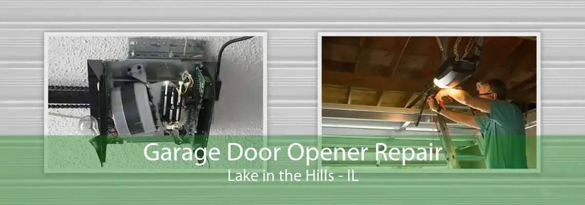 Garage Door Opener Repair Lake in the Hills - IL