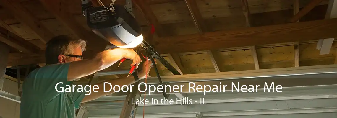 Garage Door Opener Repair Near Me Lake in the Hills - IL