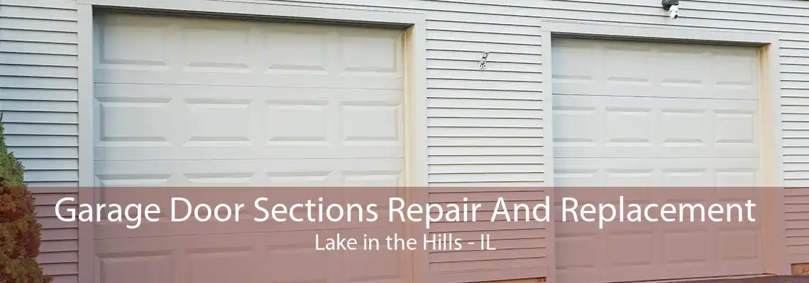 Garage Door Sections Repair And Replacement Lake in the Hills - IL