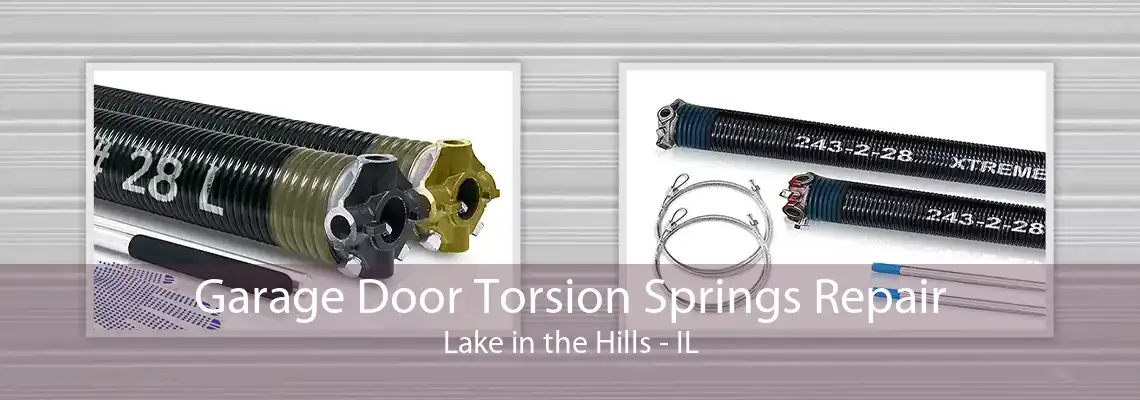 Garage Door Torsion Springs Repair Lake in the Hills - IL