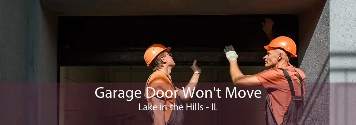 Garage Door Won't Move Lake in the Hills - IL