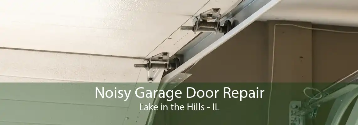 Noisy Garage Door Repair Lake in the Hills - IL